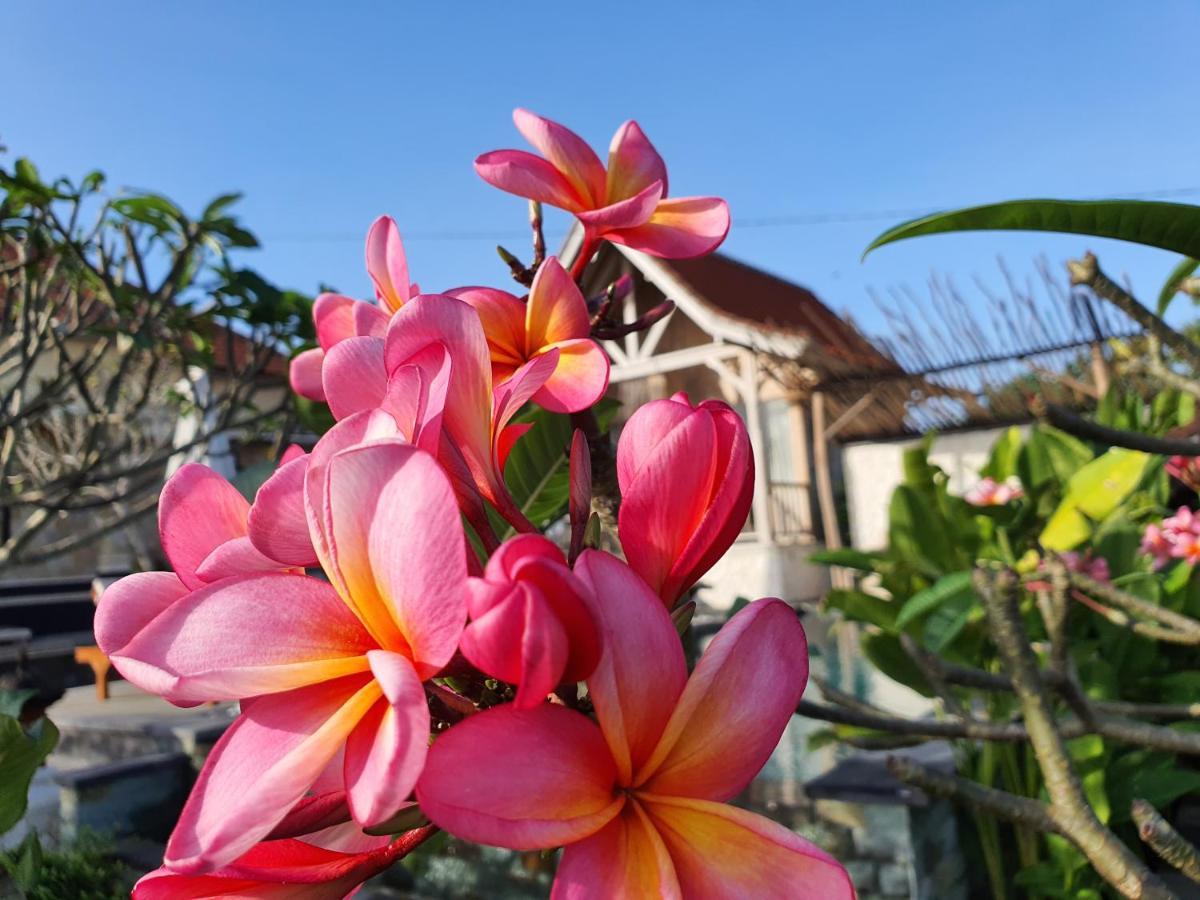 De Jantux Villa 울루와뚜 외부 사진
